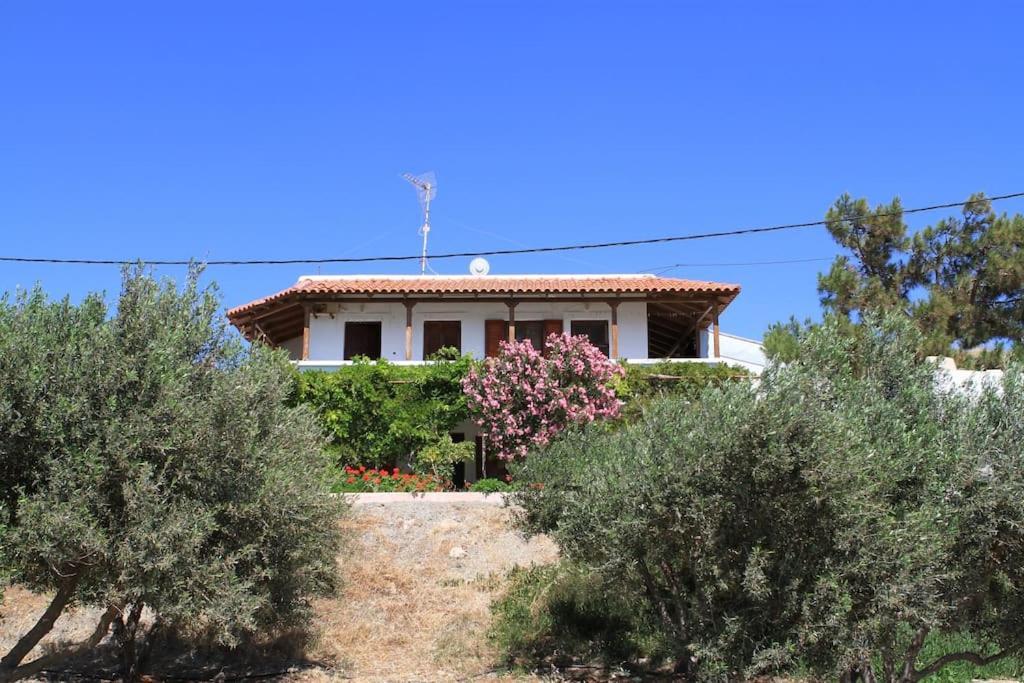 Traditional Olive House Makrýgialos Exterior foto